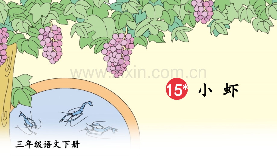 部编人教版三年级语文下册《小虾》教材课件.ppt_第2页