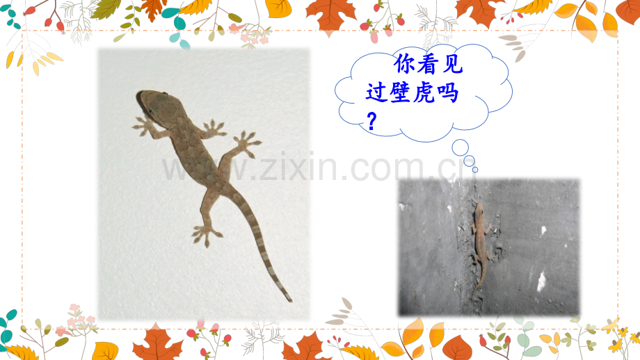 2023年部编版一年级语文下册《小壁虎借尾巴》课件.pptx_第2页