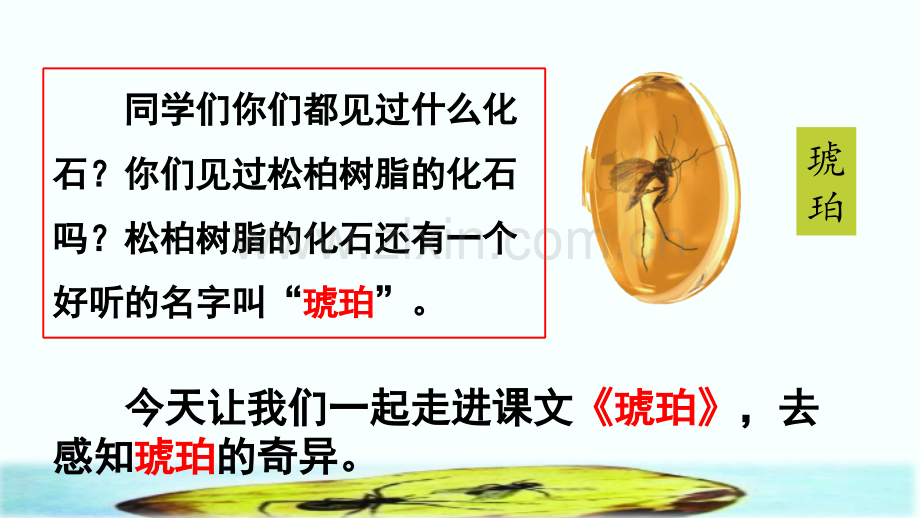 部编人教版四年级语文下册《琥珀》优质课件.pptx_第1页