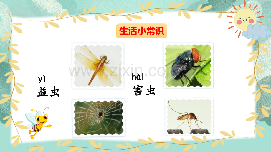 部编人教版一年级语文下册《动物儿歌》.pptx_第1页