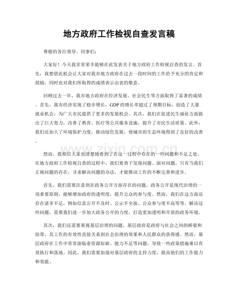 地方政府工作检视自查发言稿.docx_第1页