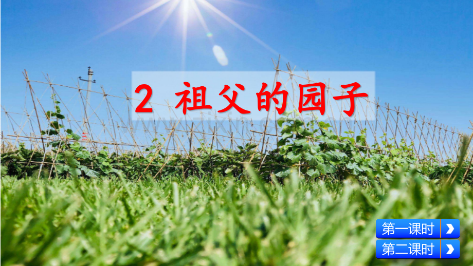 部编人教版五年级语文下册《祖父的园子》配套课件.pptx_第2页
