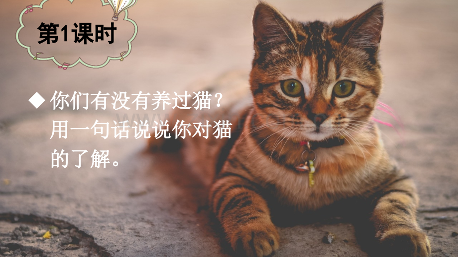 部编版四年级语文下册《猫》配套课件.ppt_第2页
