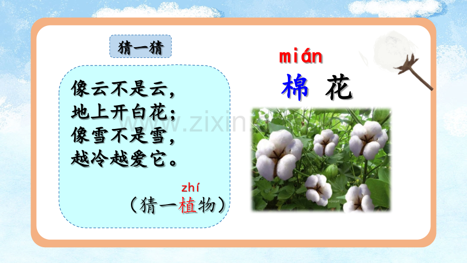 部编人教版一年级语文下册《棉花姑娘》教学课件.pptx_第1页