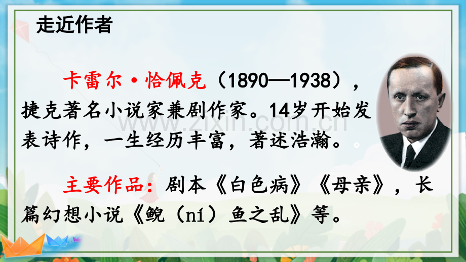 部编版五年级语文下册《牧场之国》教学课件.ppt_第2页