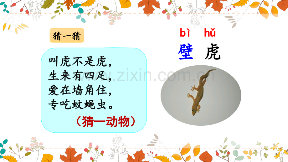 部编人教版一年级语文下册《小壁虎借尾巴》完整课件.pptx_第1页