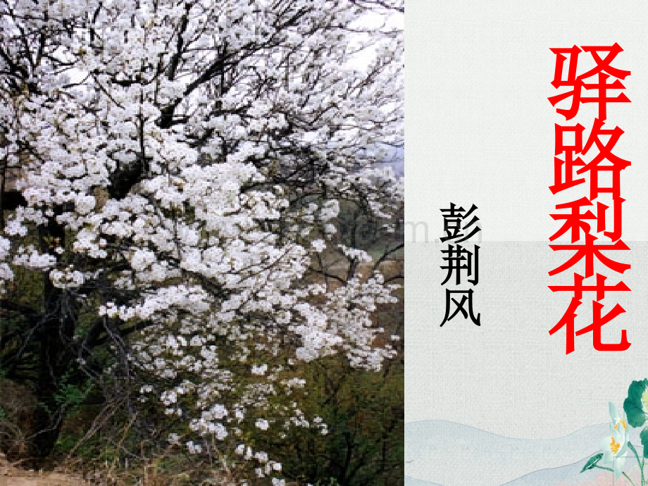 《驿路梨花》课件ppt.ppt_第1页