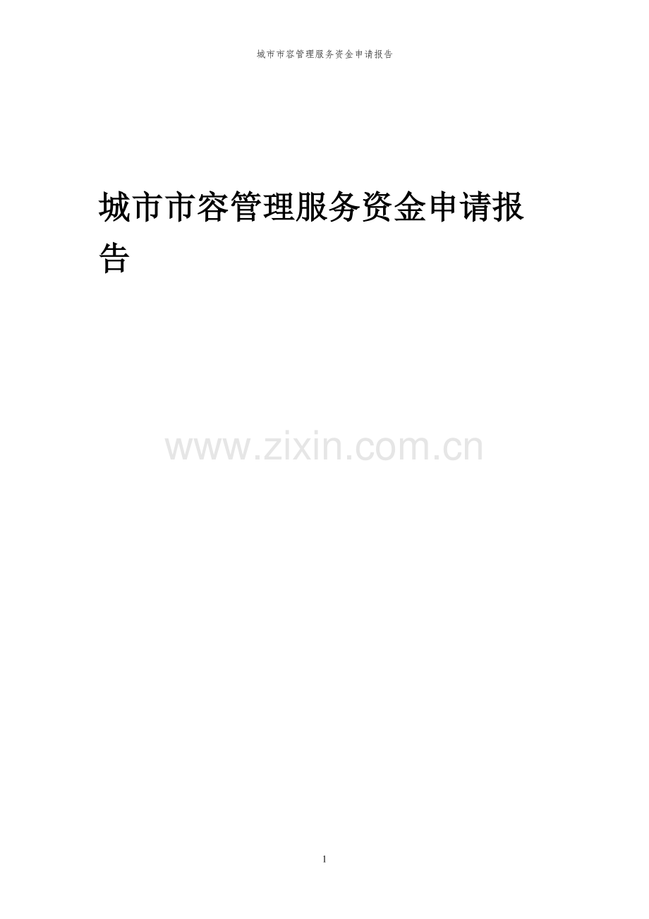 2024年城市市容管理服务投资项目资金申请报告.docx_第1页