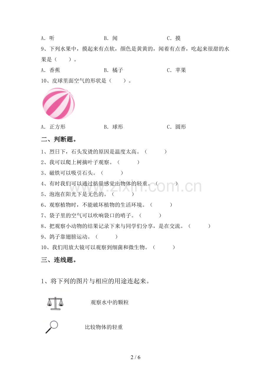 新人教版一年级科学下册期中试卷一.doc_第2页