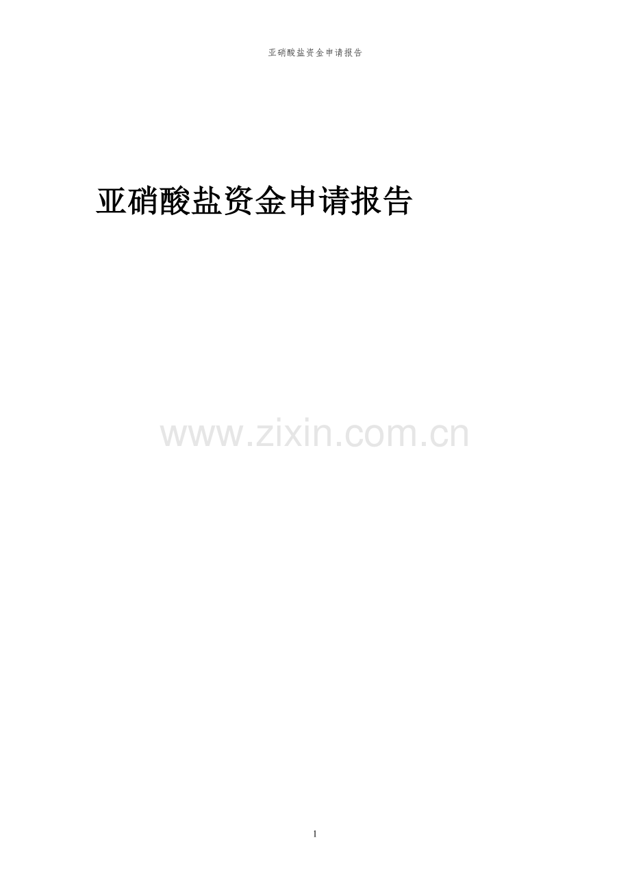 2024年亚硝酸盐投资项目资金申请报告.docx_第1页