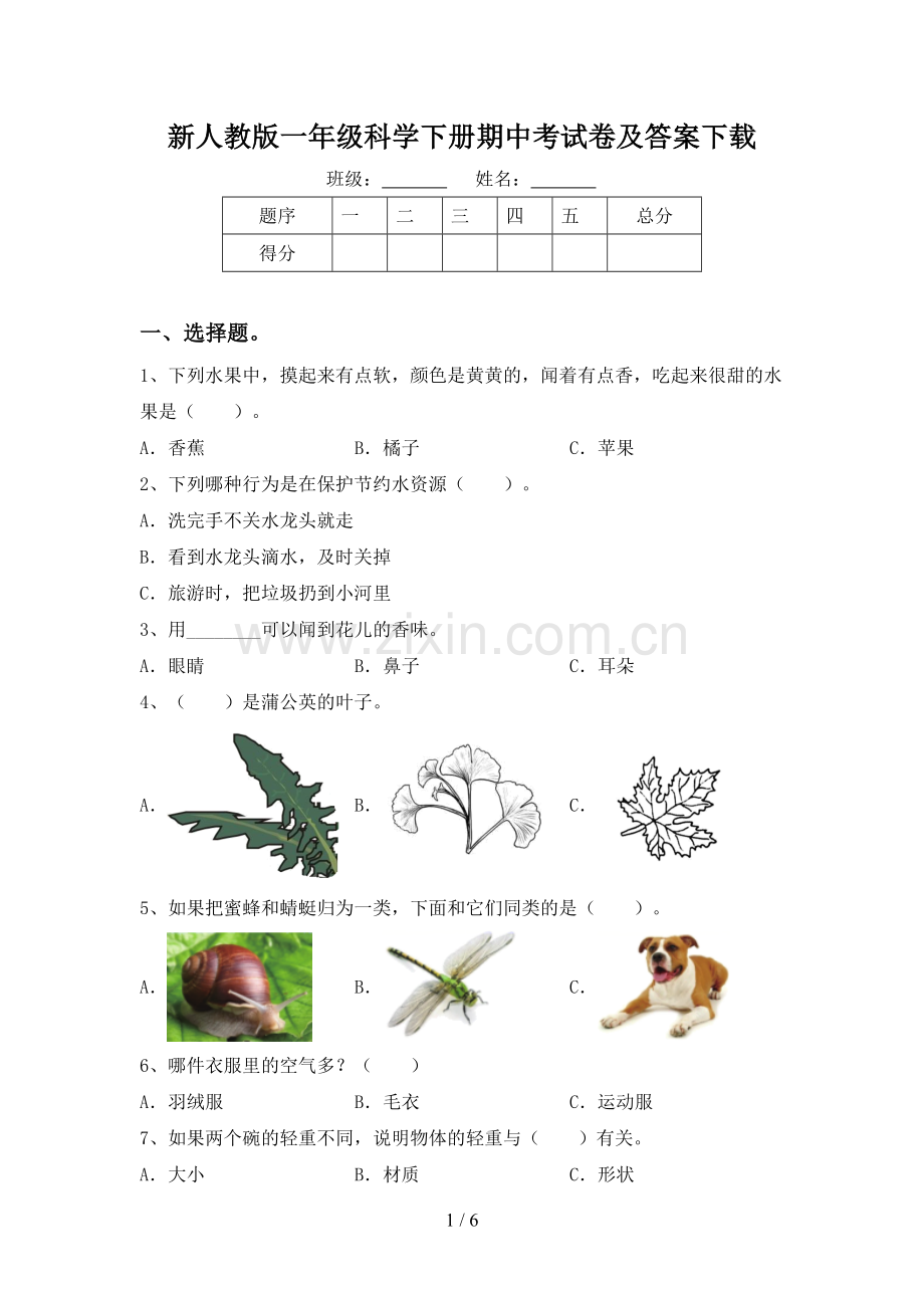 新人教版一年级科学下册期中考试卷及答案下载.doc_第1页