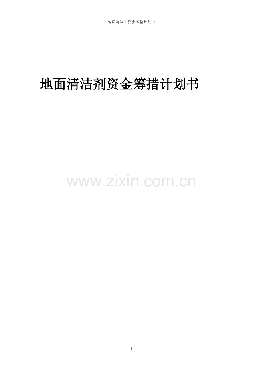 2023年地面清洁剂项目资金筹措计划书.docx_第1页