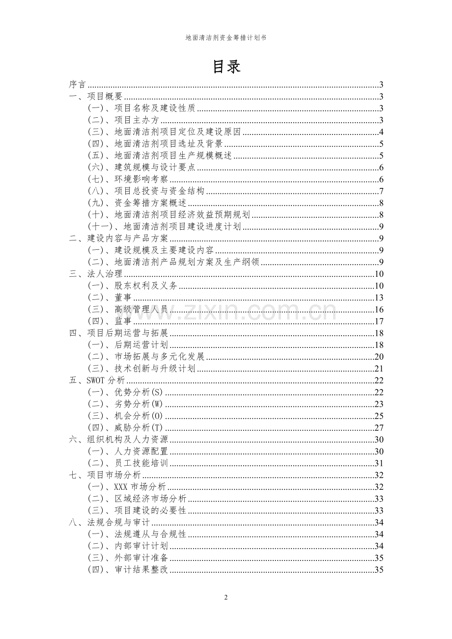 2023年地面清洁剂项目资金筹措计划书.docx_第2页