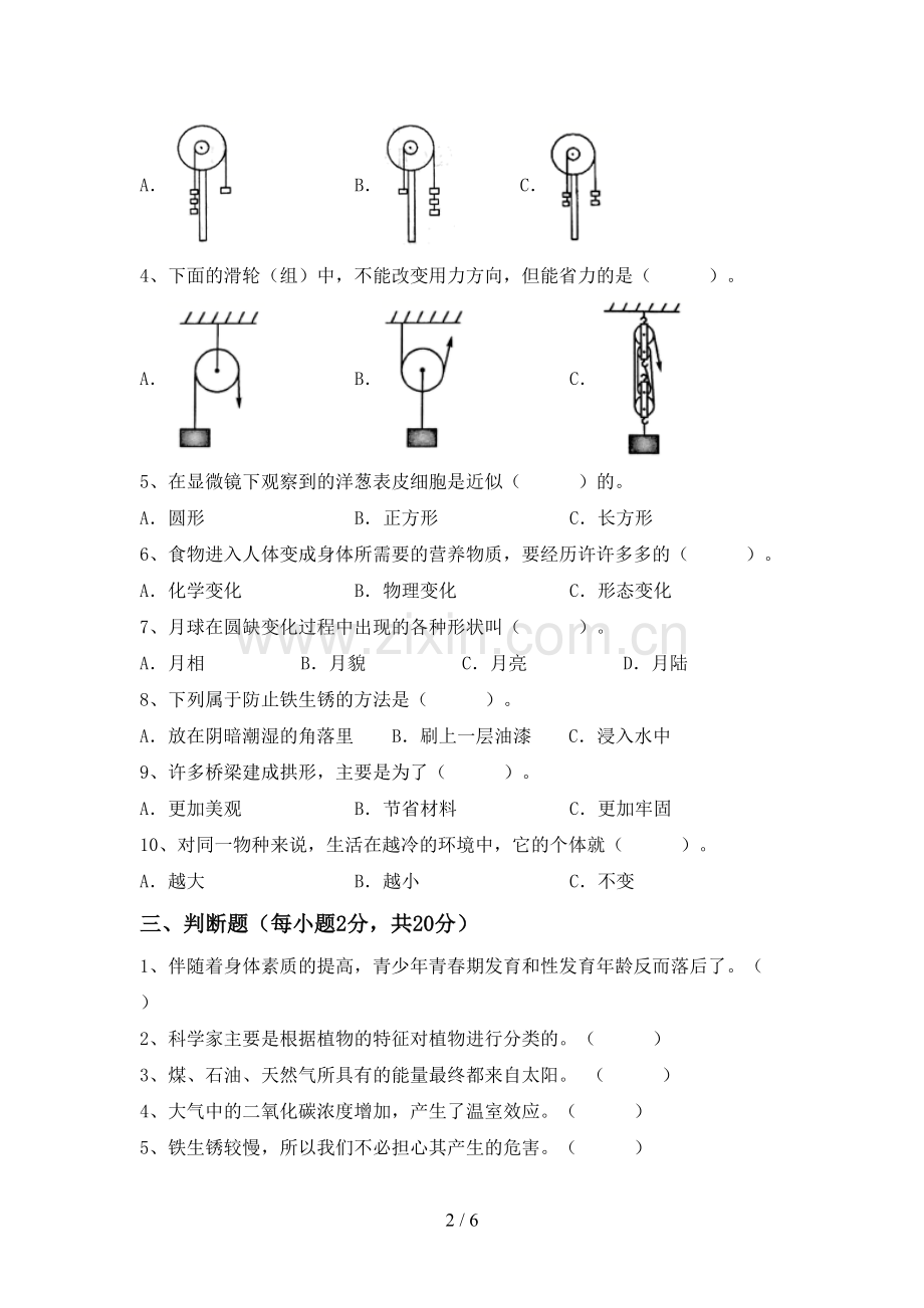 2023年人教版六年级科学下册期中测试卷.doc_第2页