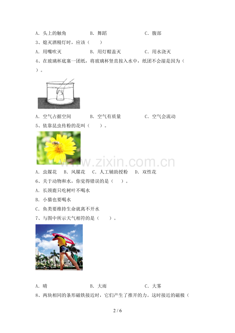 人教版三年级科学下册期中试卷(带答案).doc_第2页