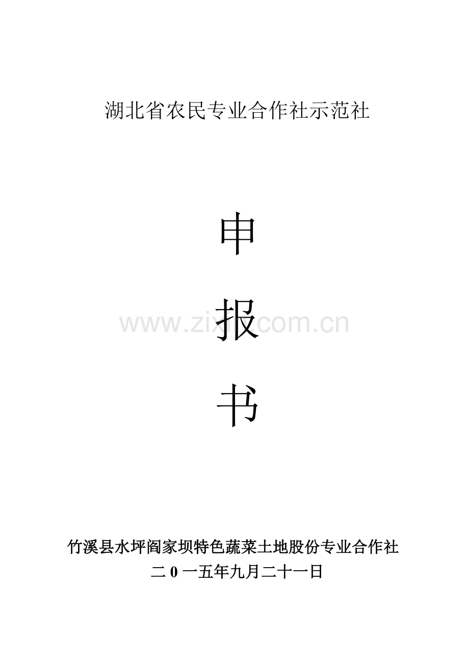 竹溪县水坪阎家坝特色蔬菜土地股份专业合作社项目可行性研究报告.doc_第1页