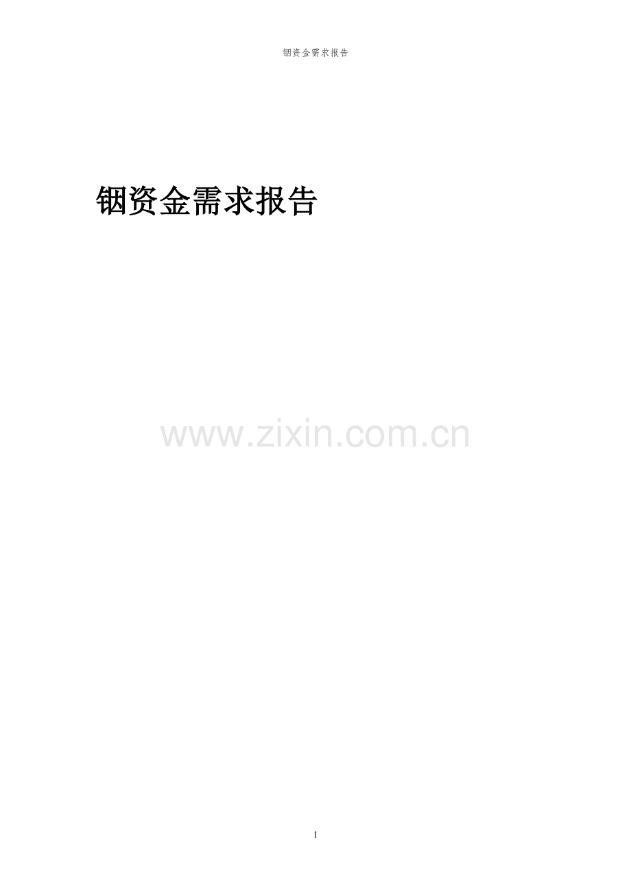 2024年铟项目资金需求报告.docx_第1页