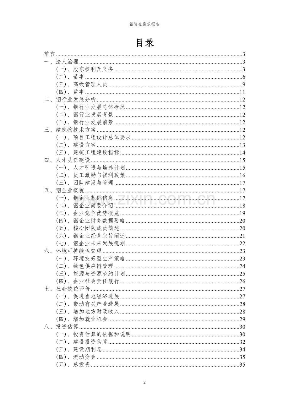 2024年铟项目资金需求报告.docx_第2页