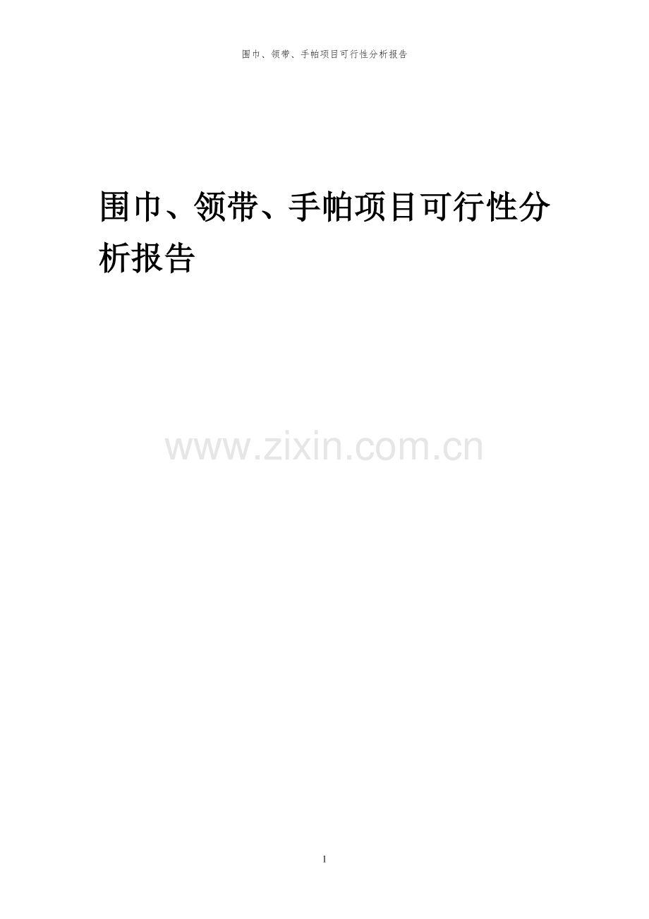 2023年围巾、领带、手帕项目可行性分析报告.docx_第1页