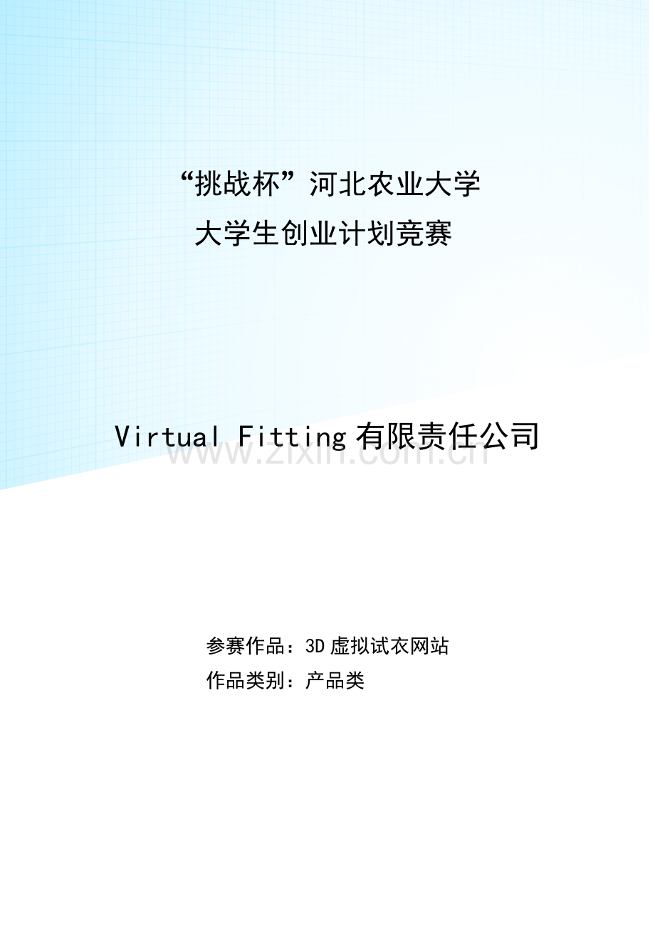 3d虚拟试衣网站可行性论证报告正文.doc_第1页