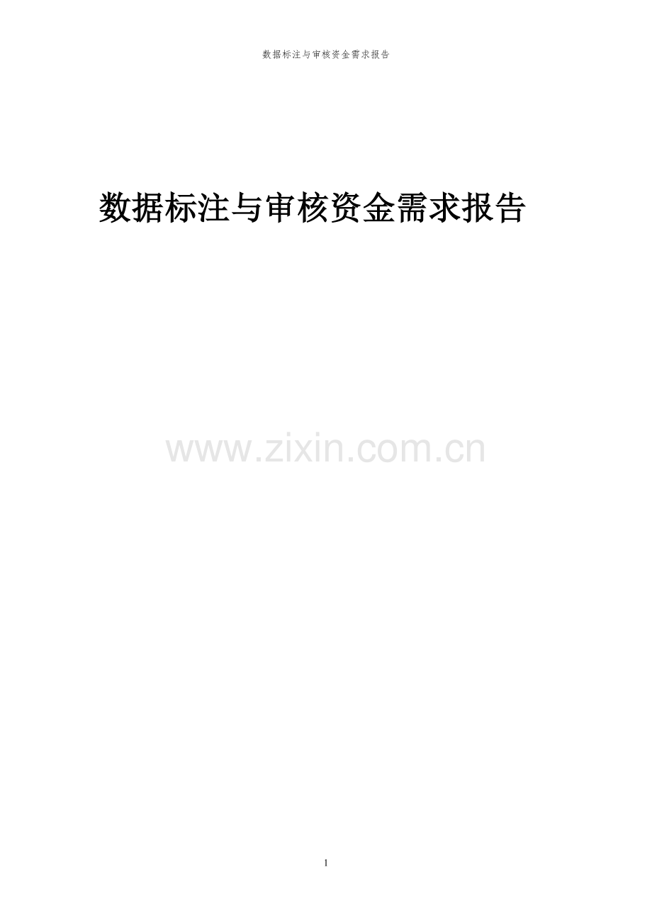 2023年数据标注与审核项目资金需求报告.docx_第1页