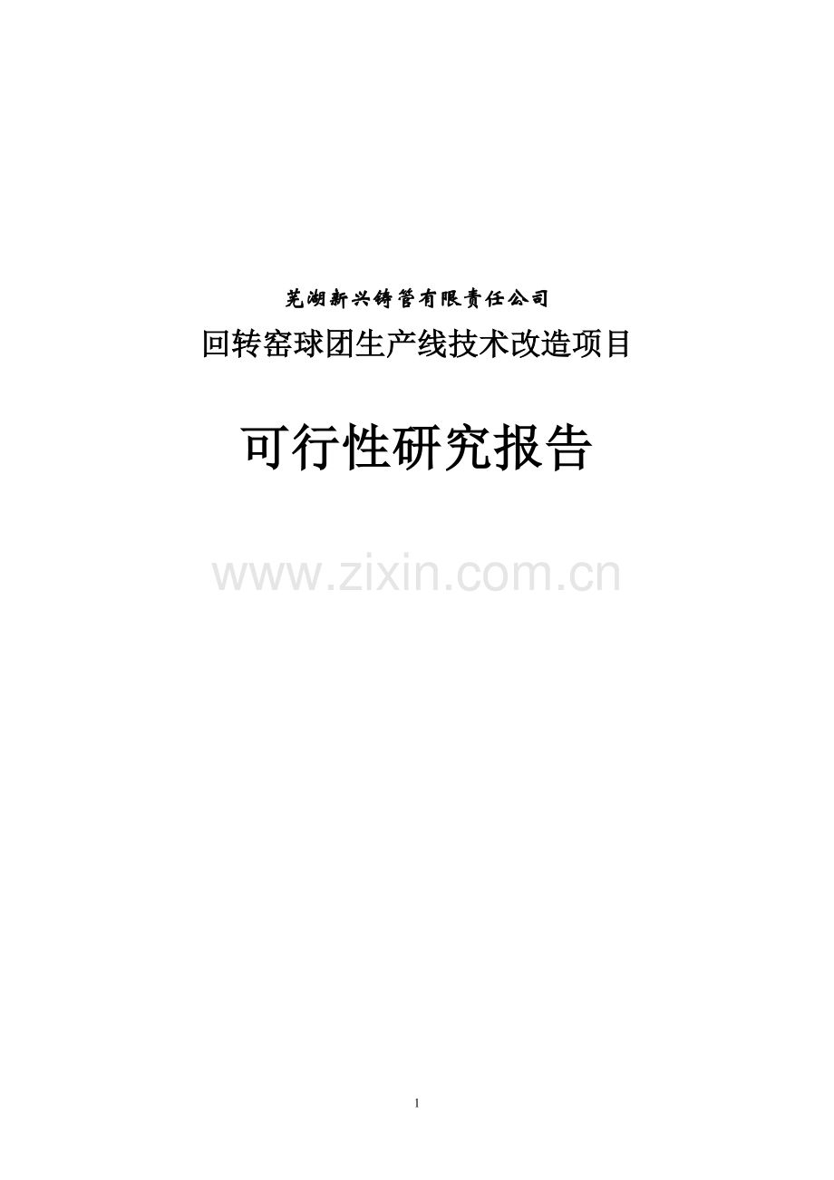 回转窑球团生产线技术改造项目可行性论证报告.doc_第1页