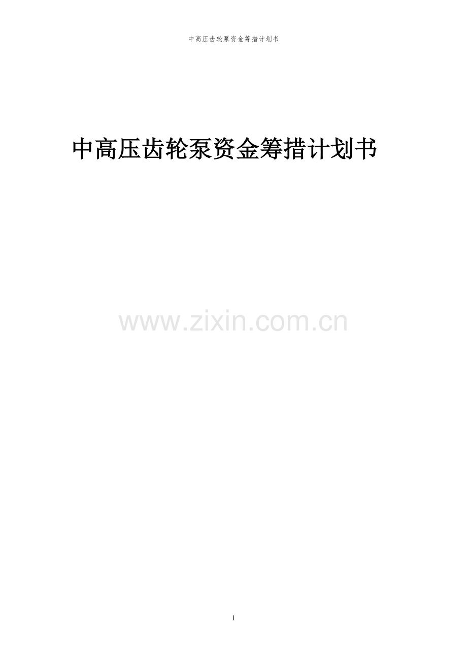 2024年中高压齿轮泵项目资金筹措计划书.docx_第1页