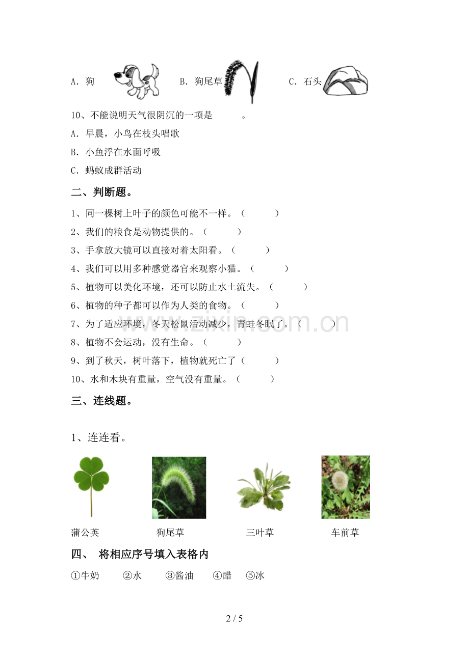 新人教版一年级科学下册期中试卷(及答案).doc_第2页