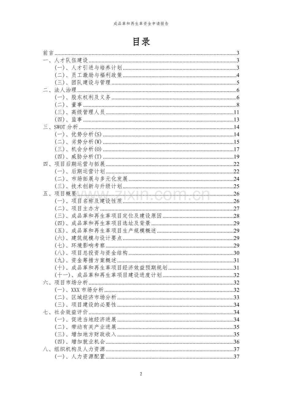 2024年成品革和再生革投资项目资金申请报告.docx_第2页