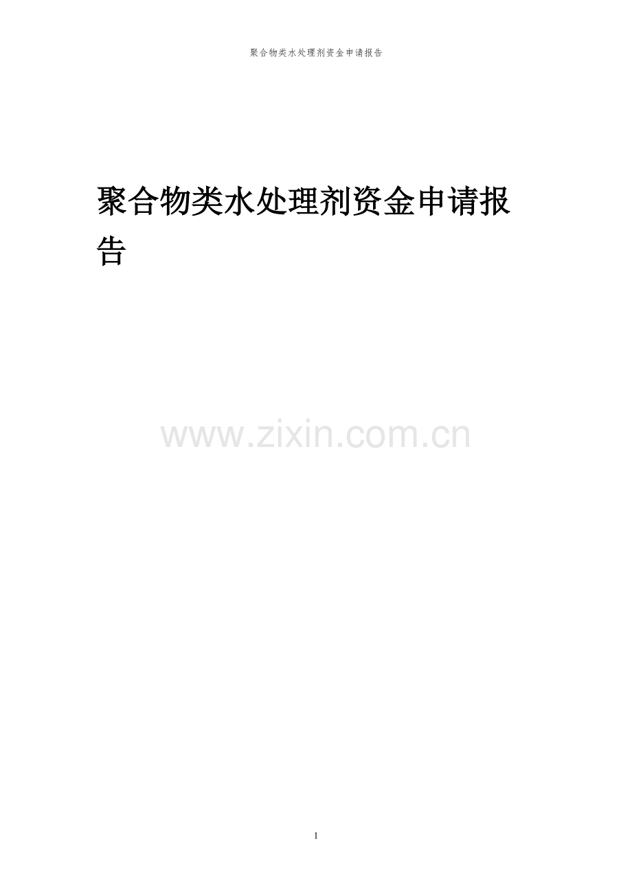 2024年聚合物类水处理剂项目资金申请报告.docx_第1页