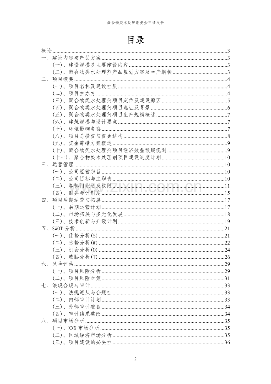 2024年聚合物类水处理剂项目资金申请报告.docx_第2页