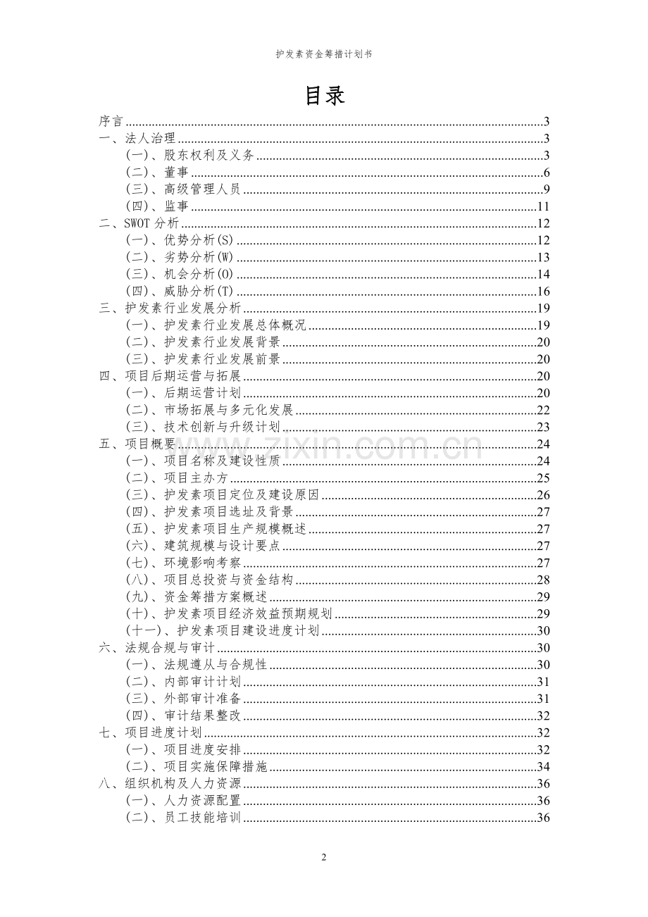 2024年护发素项目资金筹措计划书.docx_第2页