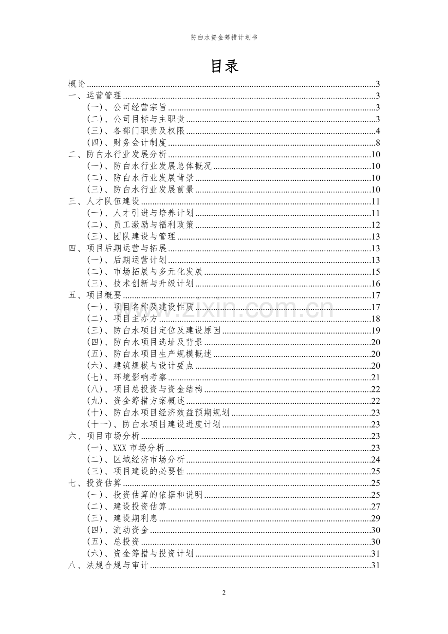 2024年防白水项目资金筹措计划书.docx_第2页