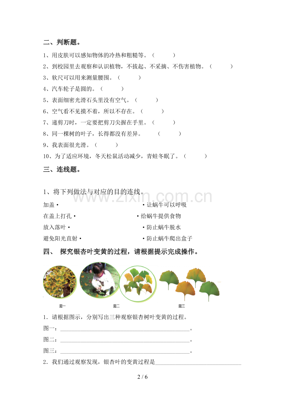 新人教版一年级科学下册期中测试卷【及答案】.doc_第2页