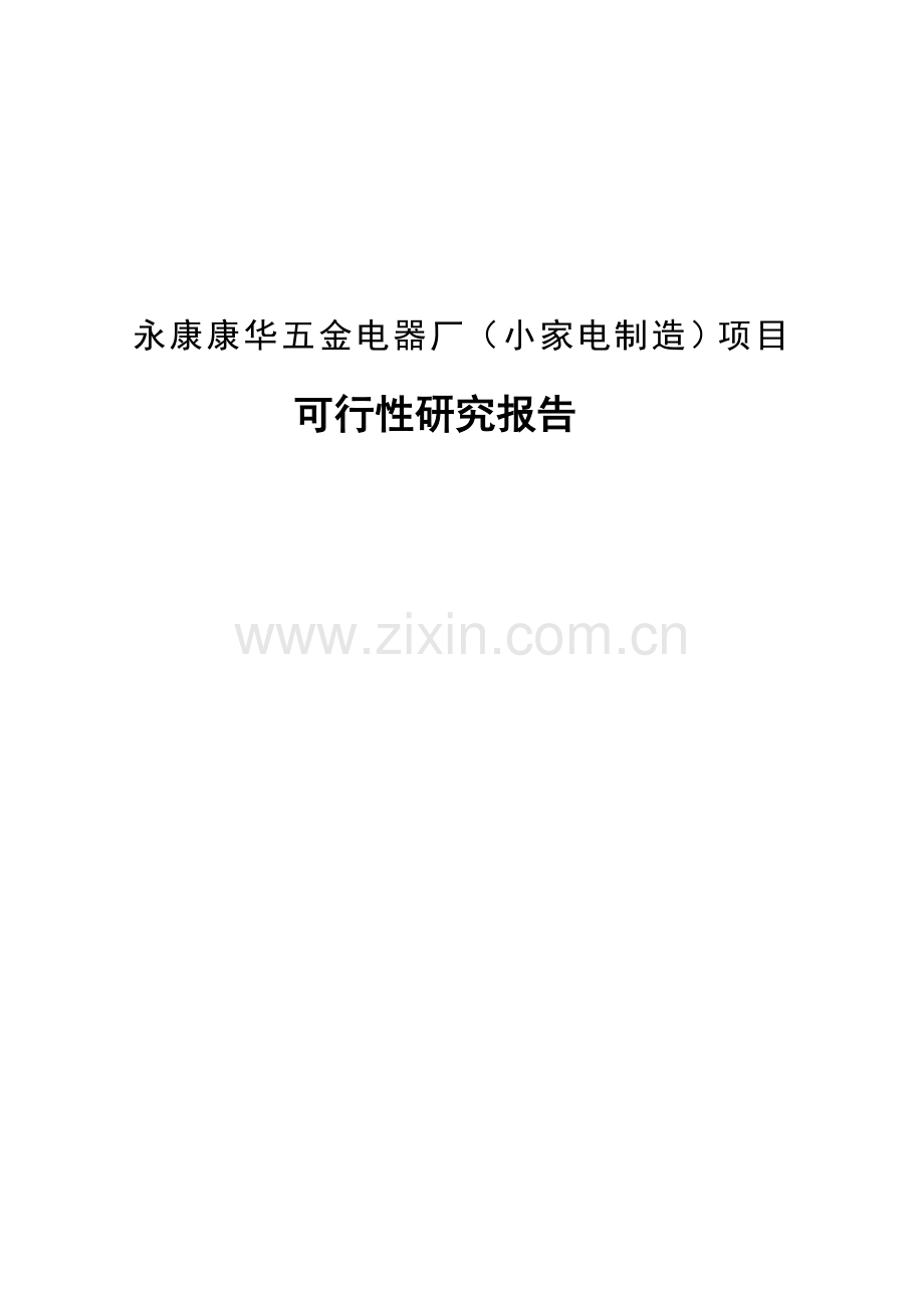 永康康华五金电器厂小家电制造项目建议书...doc_第1页