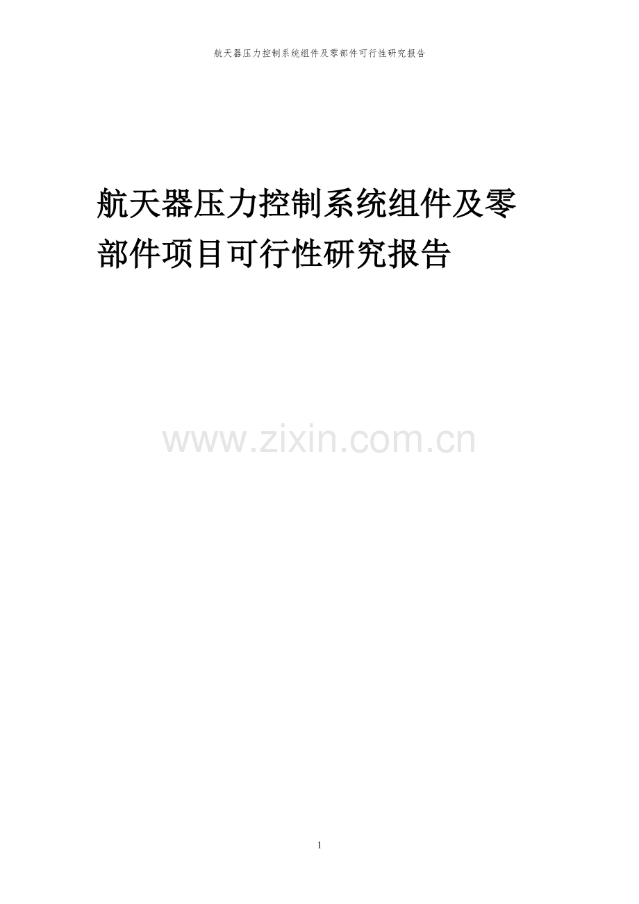 2023年航天器压力控制系统组件及零部件项目可行性研究报告.docx_第1页
