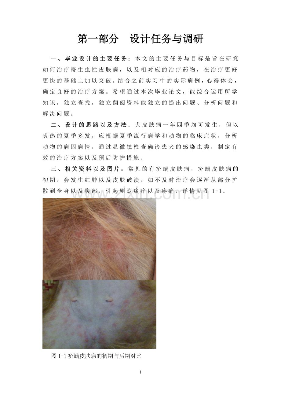 犬寄生虫性皮肤病的诊治方案毕业设计论文.doc_第2页