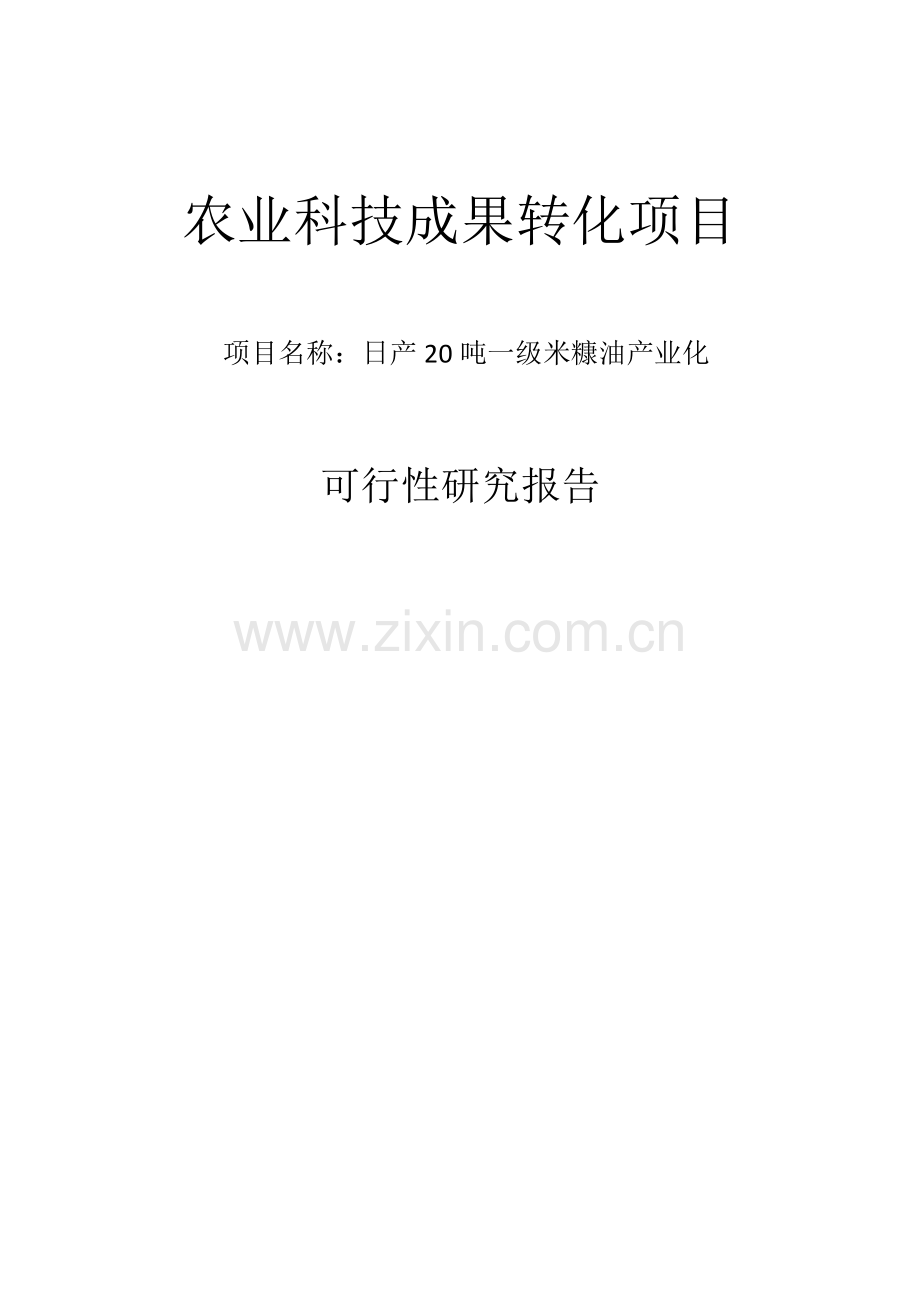 日产20吨一级米糠油可行性论证报告.doc_第1页