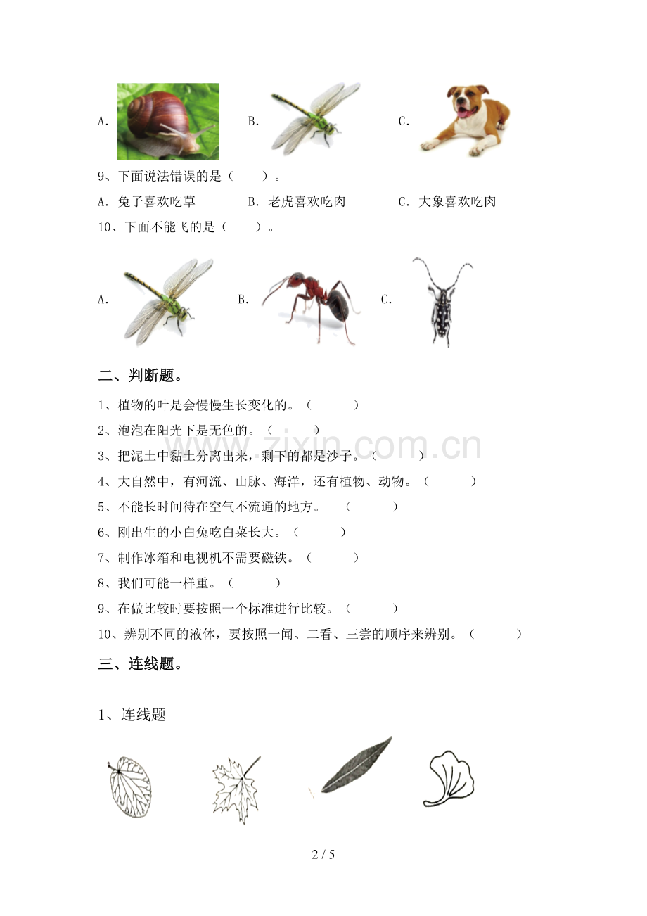 教科版一年级科学下册期中试卷及答案下载.doc_第2页