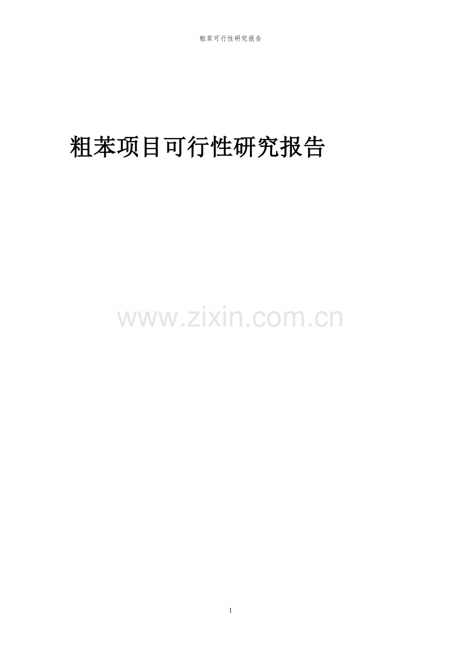 2023年粗苯项目可行性研究报告.docx_第1页