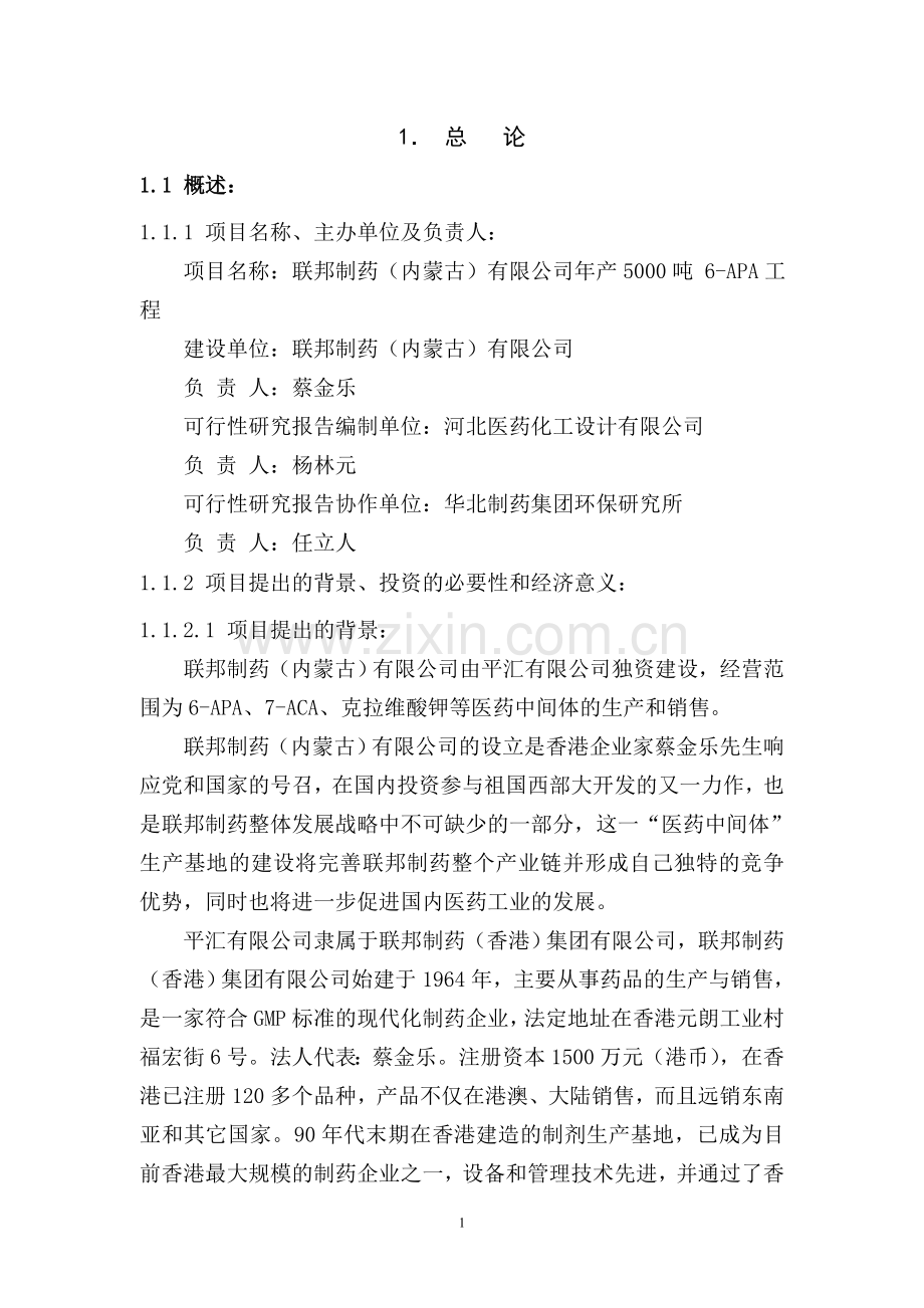 6-APA可行性研究报告.doc_第1页