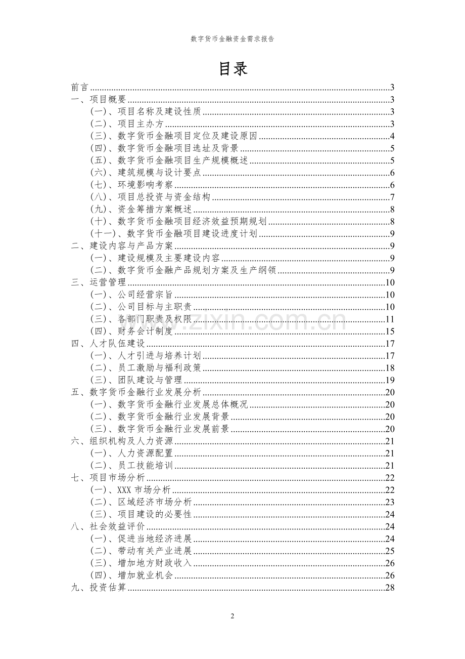2024年数字货币金融项目资金需求报告.docx_第2页
