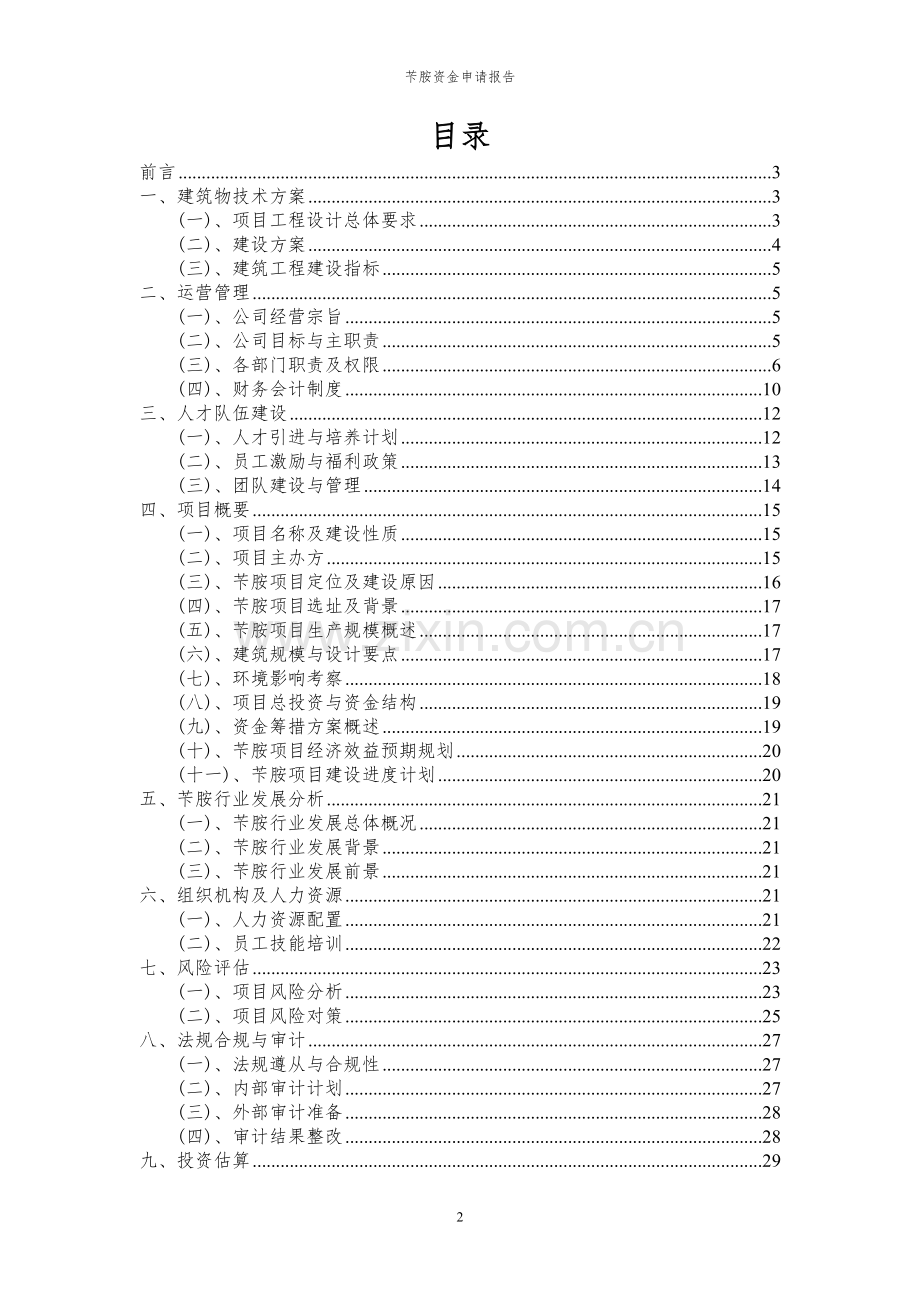 2024年苄胺项目资金申请报告.docx_第2页