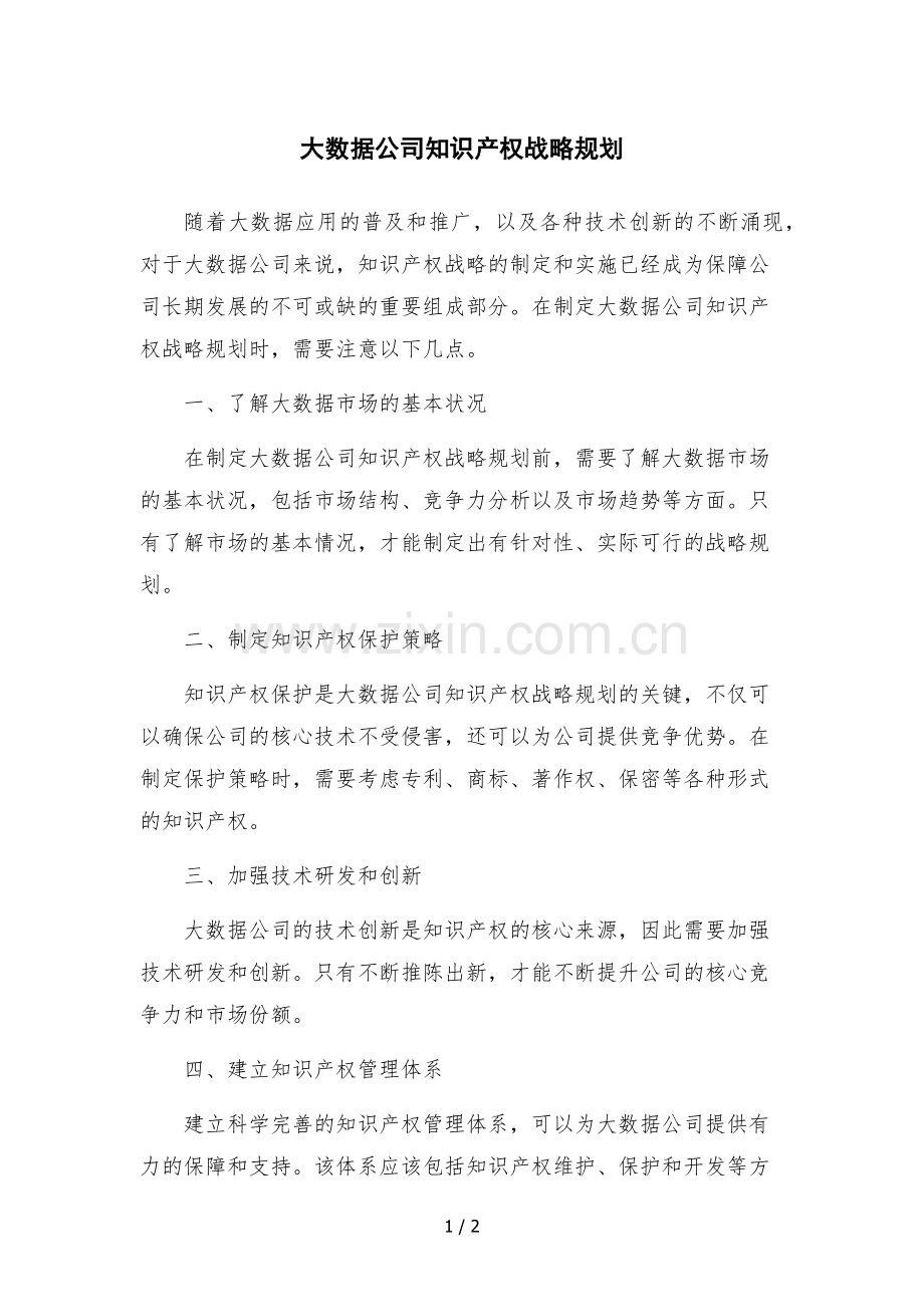 大数据公司知识产权战略规划.docx_第1页