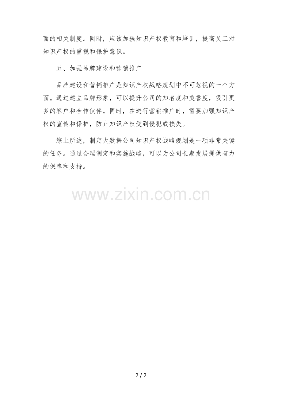 大数据公司知识产权战略规划.docx_第2页