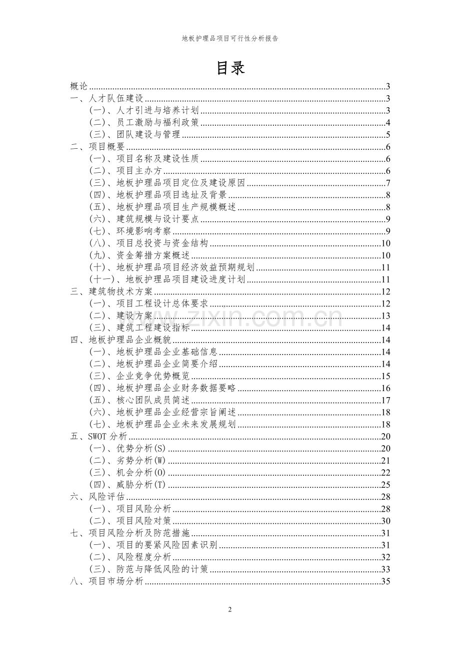 2023年地板护理品项目可行性分析报告.docx_第2页