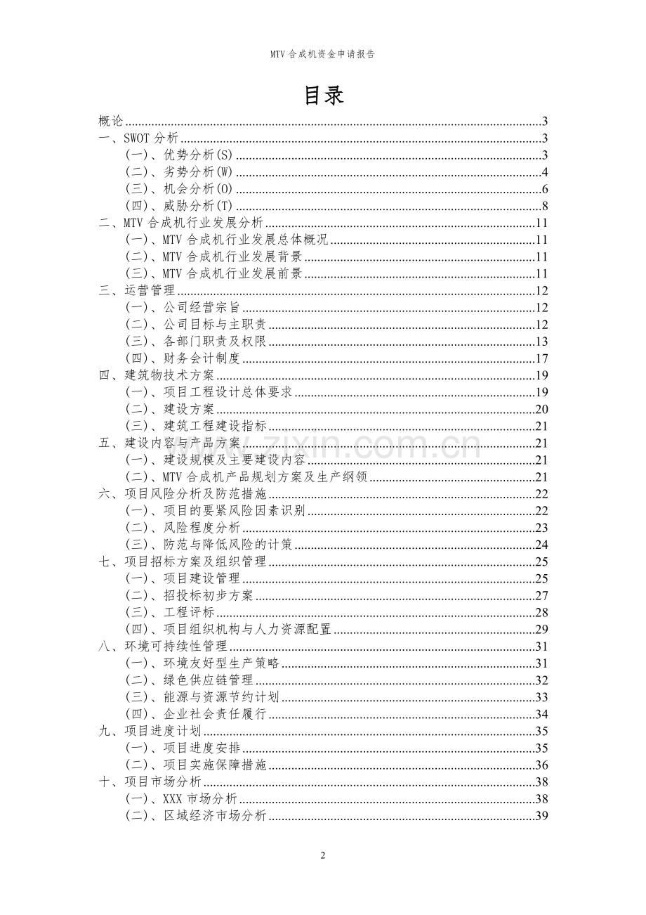 2024年MTV合成机项目资金申请报告.docx_第2页