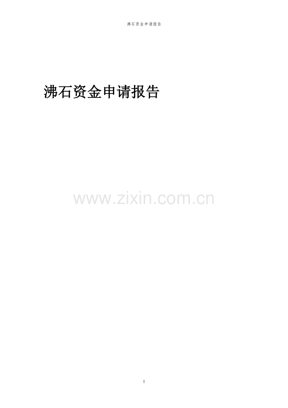 2024年沸石投资项目资金申请报告.docx_第1页