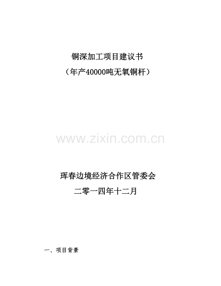 铜深加工可行性策划书.doc_第1页