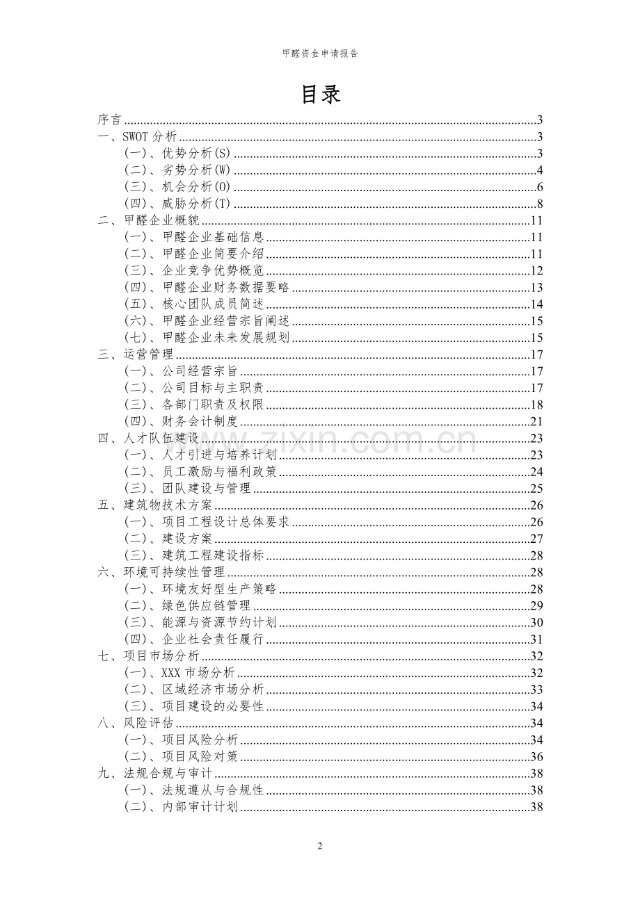 2024年甲醛项目资金申请报告.docx_第2页